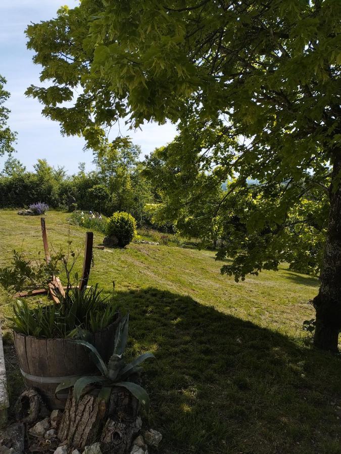 La Coste Blanque Holiday home *