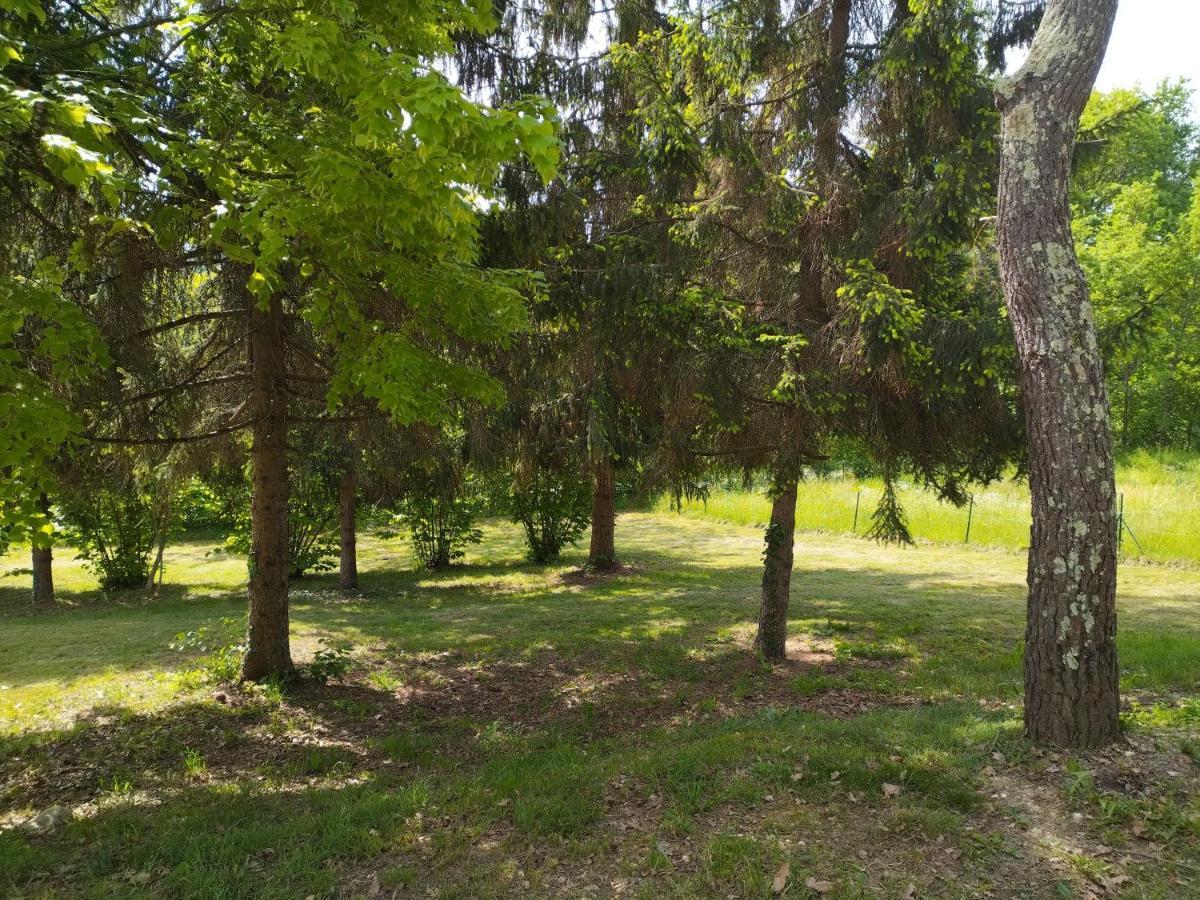 La Coste Blanque Montaut (Lot-et-Garonne)